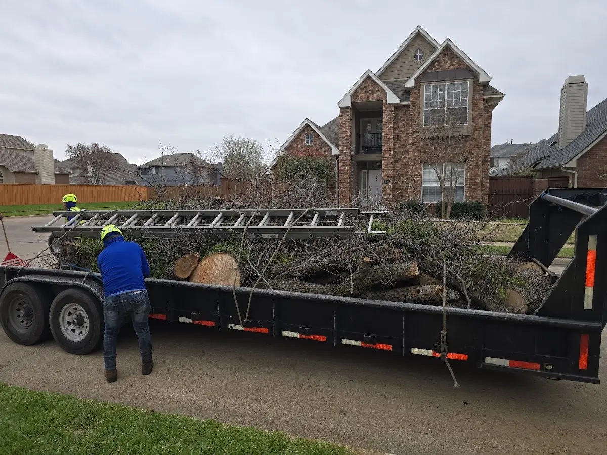 Expert Tree Removal with proper safety equipment in West Lebanon